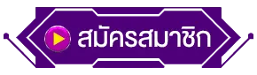 แพนด้า555